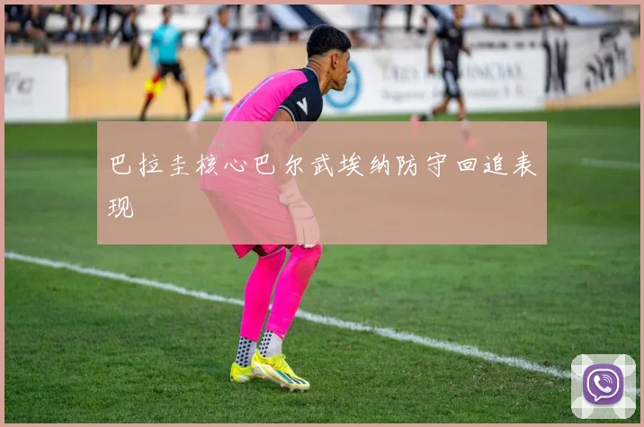 巴拉圭核心巴尔武埃纳防守回追表现